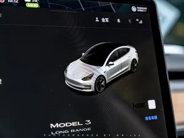 Tesla Model 3 2020