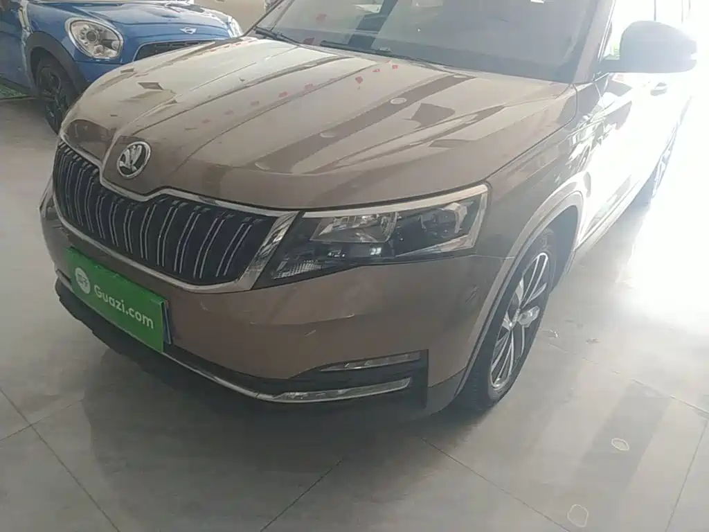 Skoda Kamiq 2018 — фото 24