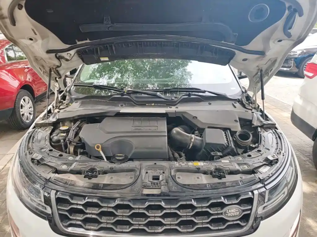 Land Rover Evoque 2020 — фото 20