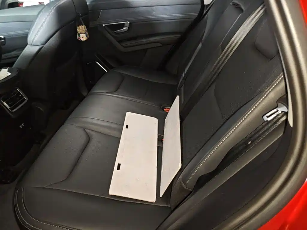 BYD Song Pro New Energy 2019 — фото 13