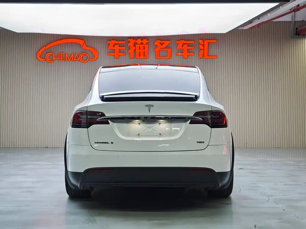Tesla Model X 2017 — фото 12