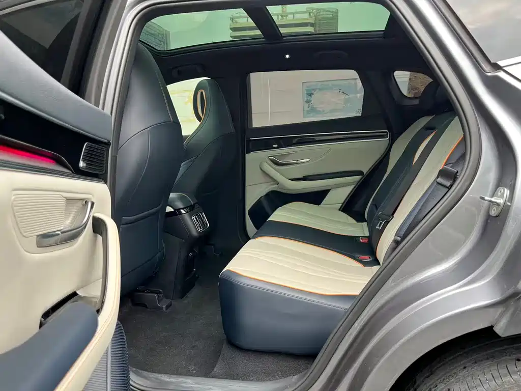 BYD PLUS New Energy 2022 — фото 13
