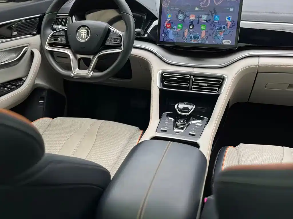 BYD PLUS New Energy 2022 — фото 10