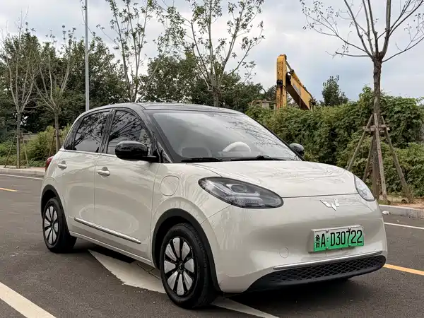 Wuling Bingo 2024