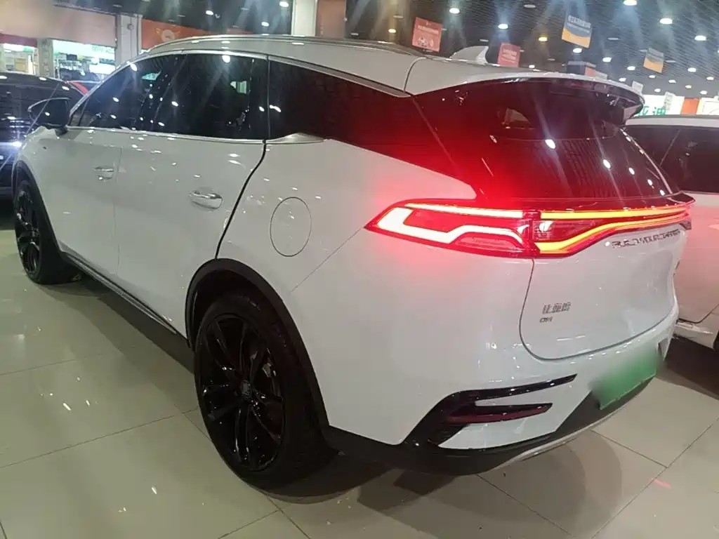 BYD Tang New Energy 2021 — фото 5