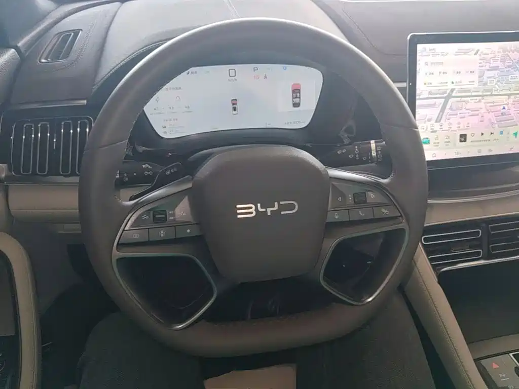 BYD PLUS New Energy 2025 — фото 11