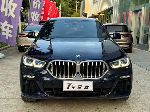 BMW X6 2021