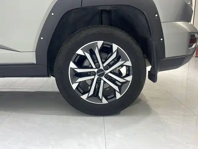 Haval Dargo PLUS 2024 — фото 17