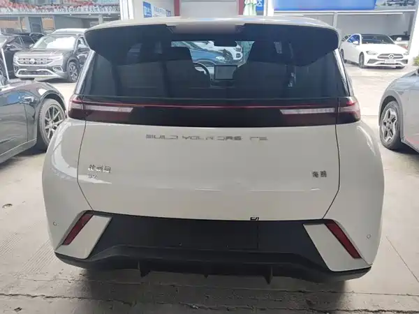 BYD Seagull 2024