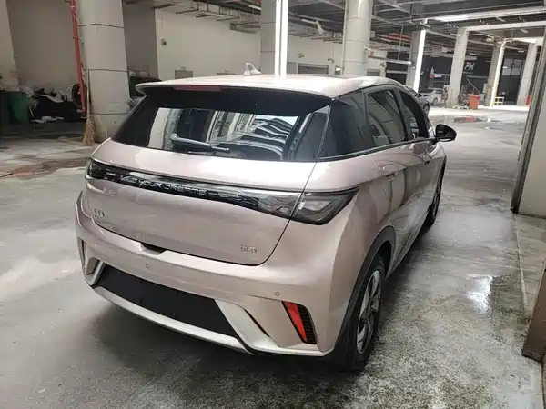 BYD Dolphin 2024