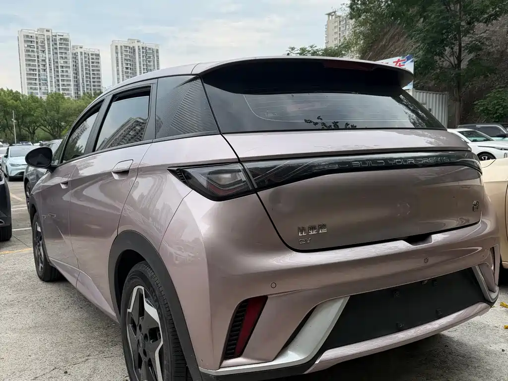 BYD Dolphin 2023 — фото 11