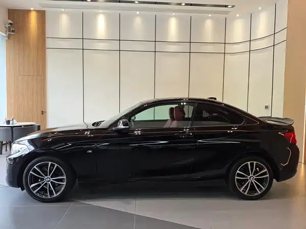 BMW 2 Series 2019