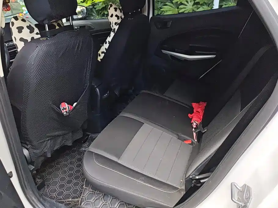 Ford EcoSport 2018 — фото 11
