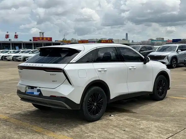 Venucia Big V 2022