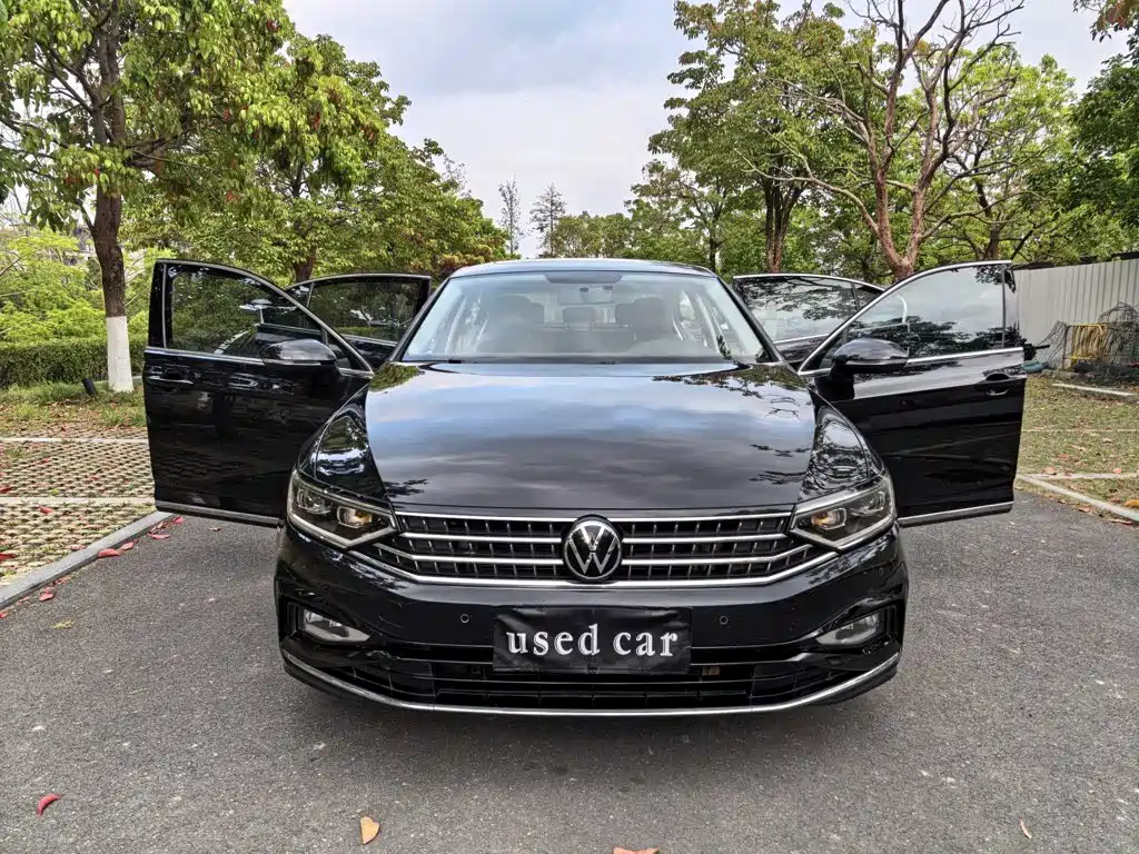 Volkswagen Magotan 2024