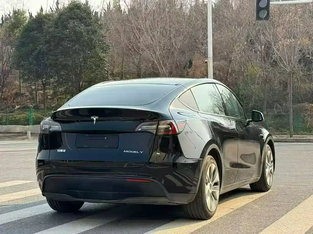 Tesla Model Y 2021 — фото 7