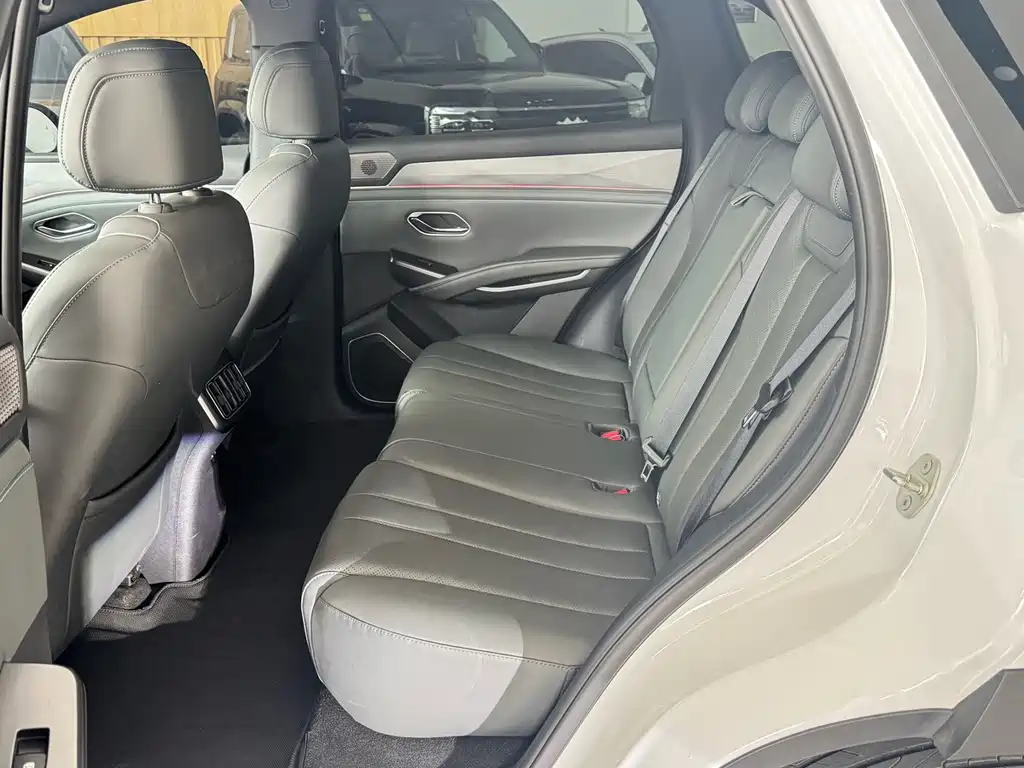 BYD Song L DM-i 2025 — фото 9