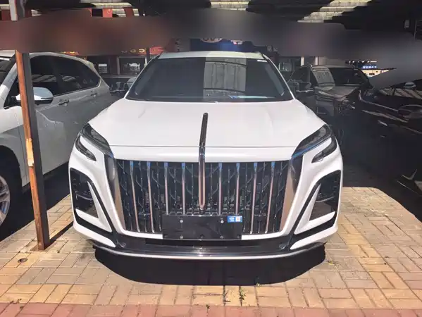 Hongqi HS3 2024