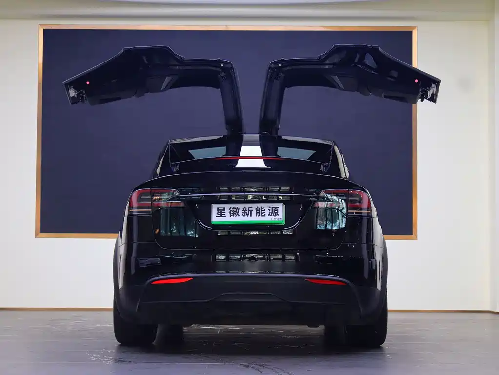 Tesla Model X 2023 — фото 19