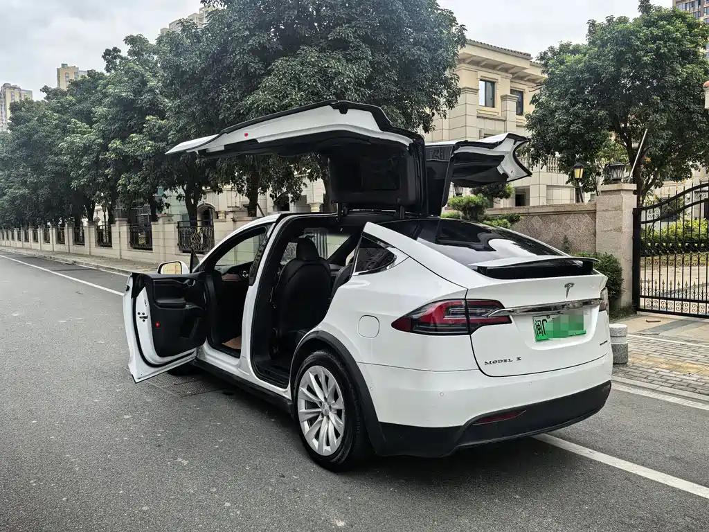 Tesla Model X 2020 — фото 11
