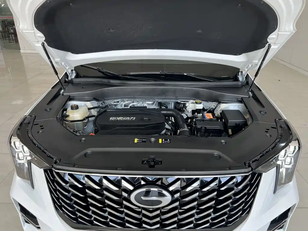GAC Motor Trumpchi GS8 2023 — фото 19