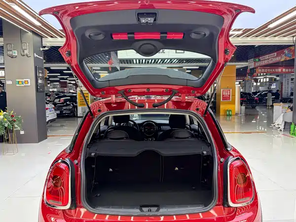 MINI 2018