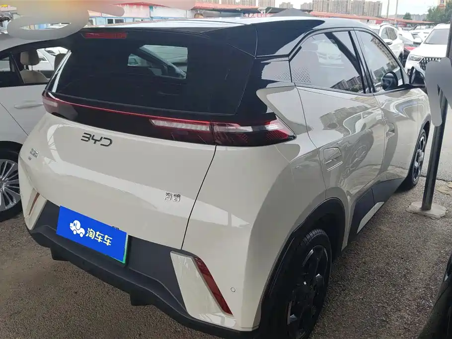 BYD Seagull 2024