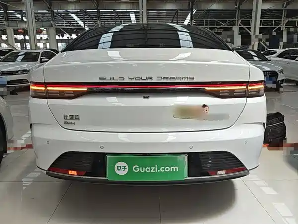 BYD Destroyer 05 2024