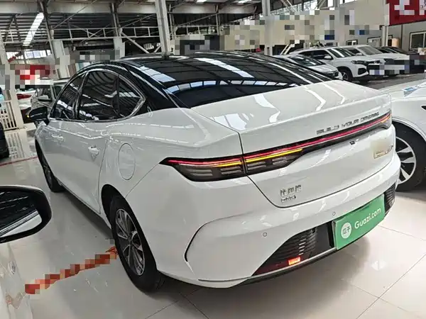 BYD Destroyer 05 2024