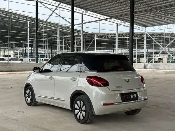 Wuling Bingo 2024