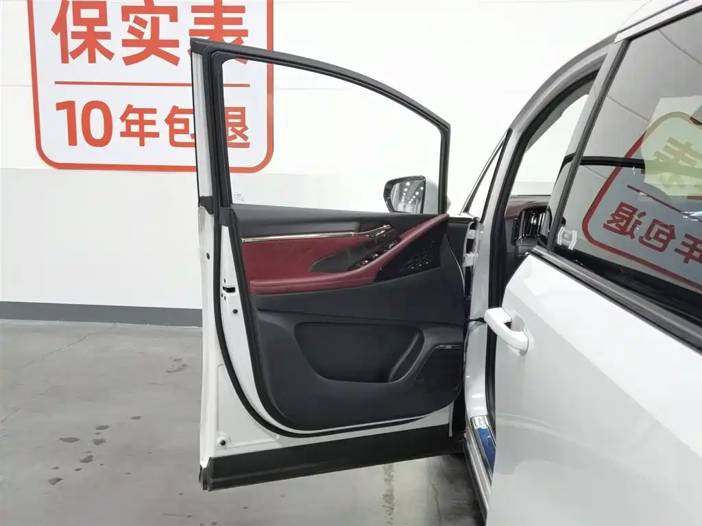 GAC Motor Trumpchi E9 2023 — фото 8