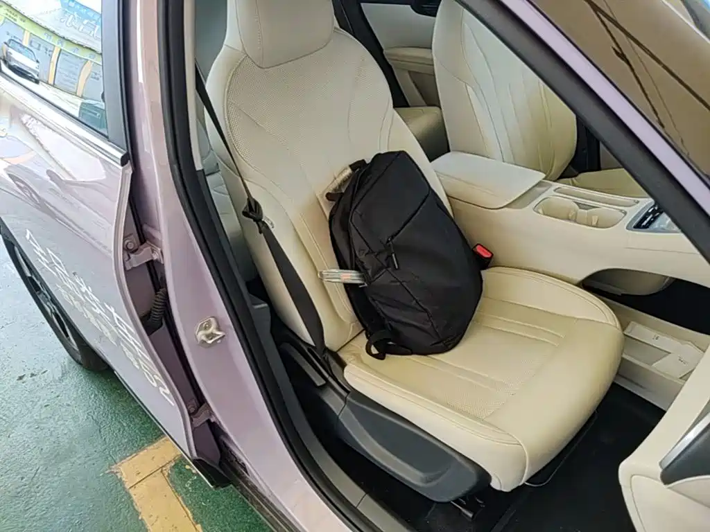 Geely Galaxy Starwish 2025 — фото 20