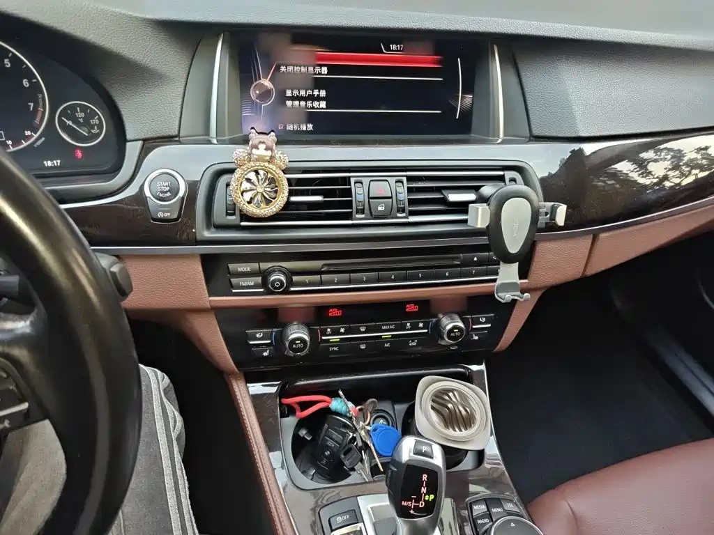 BMW 5 Series 2016