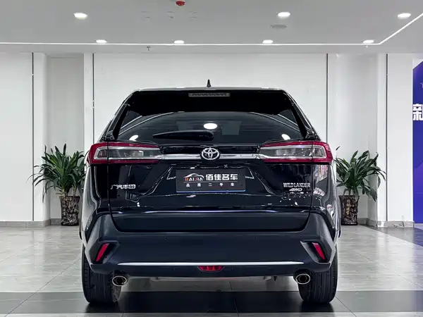 Toyota Wildlander 2022