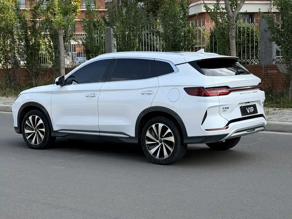 BYD PLUS New Energy 2024 — фото 4