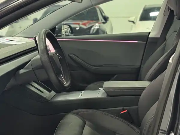 Tesla Model 3 2025