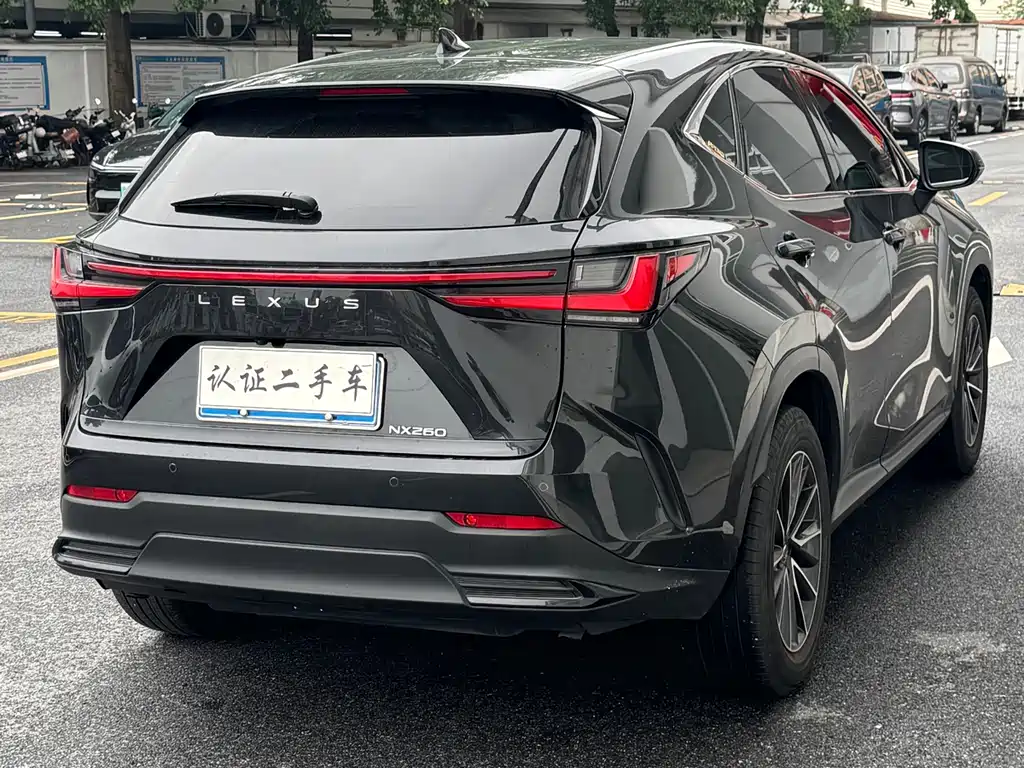 Lexus NX 2024 — фото 16