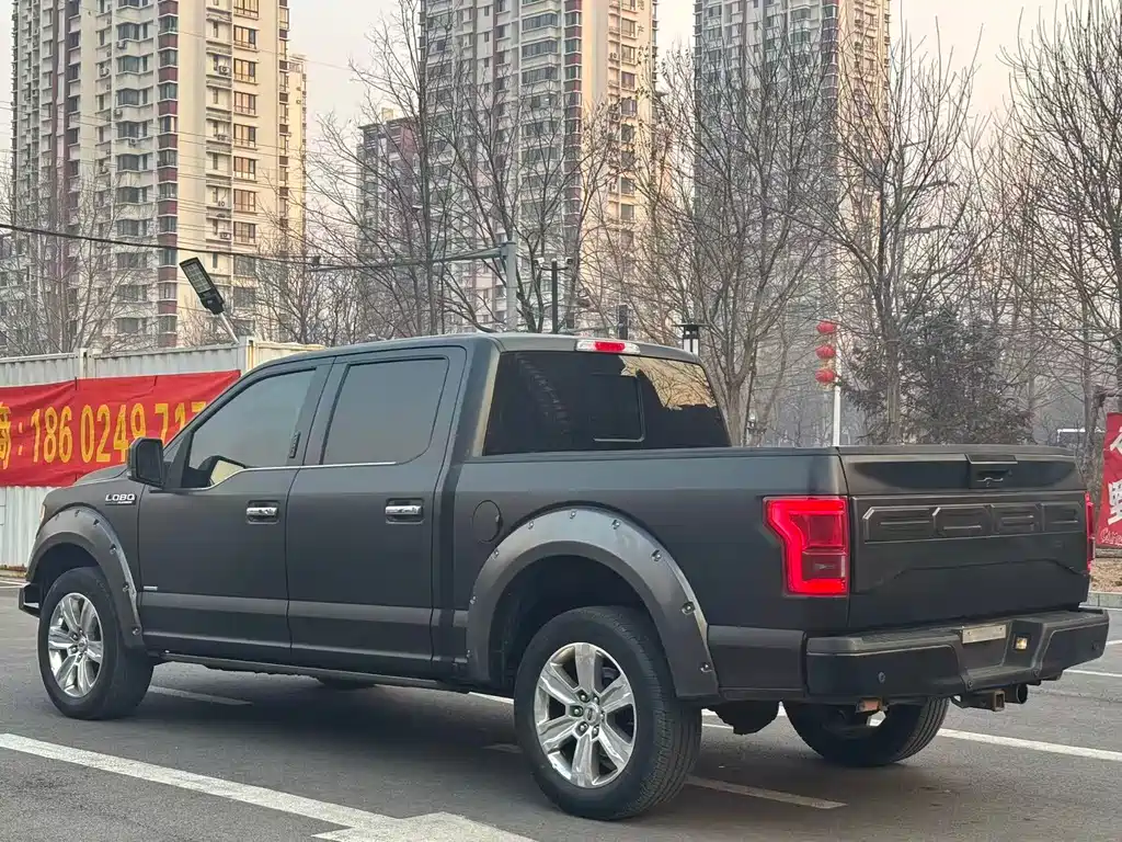 Ford F-150 Raptor 2018 — фото 9