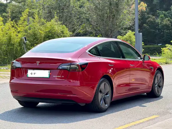 Tesla Model 3 2021