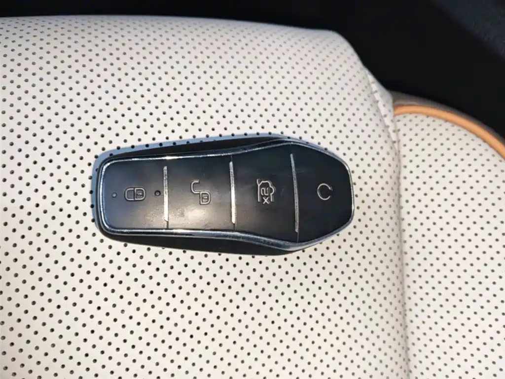 BYD Pro New Energy 2023 — фото 9