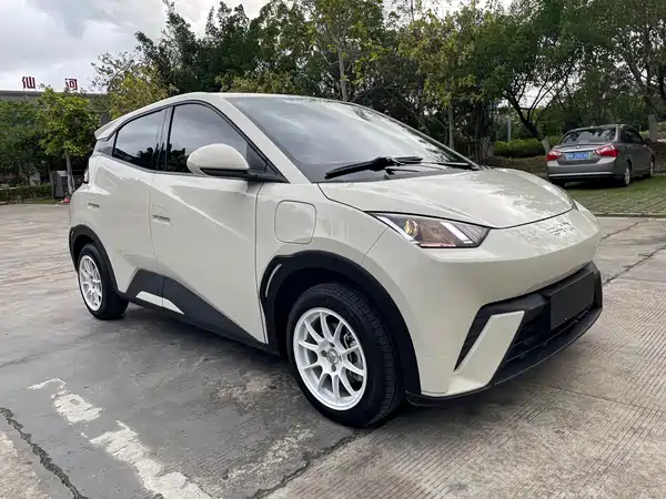 BYD Seagull 2024