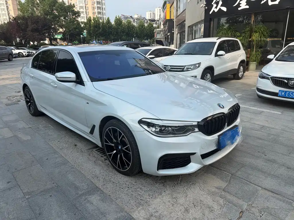 BMW 5 Series 2019