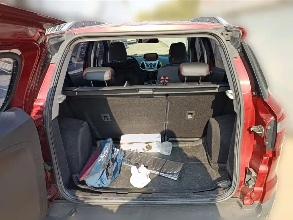 Ford Ecosport 2015 — фото 10