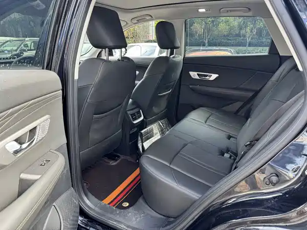 Dongfeng Haoji 2024
