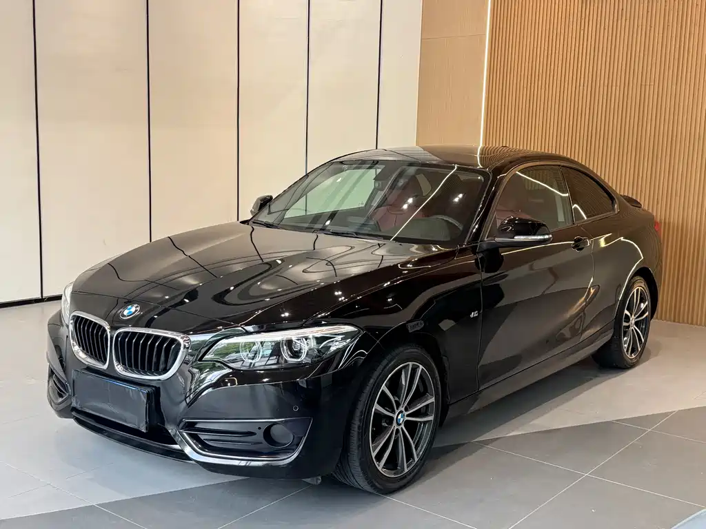 BMW 2 Series 2019 — фото 1