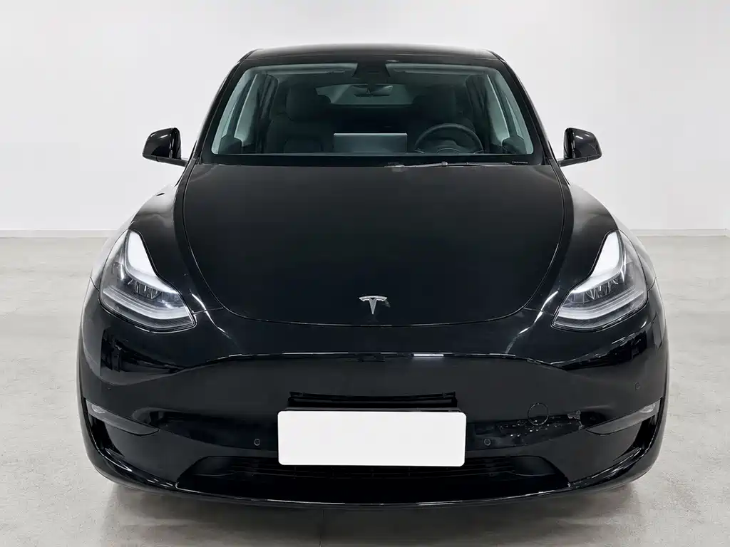 Tesla Model Y 2022 — фото 2