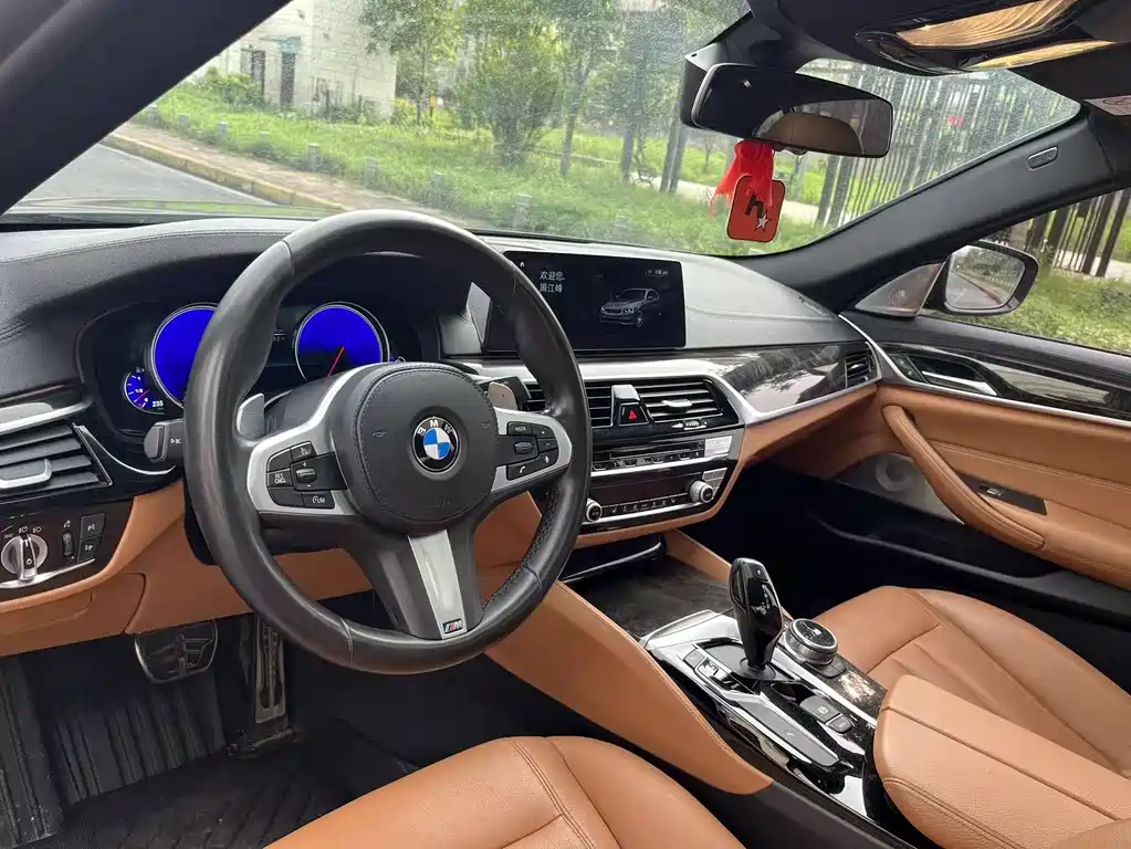 BMW 5 Series 2019 — фото 12