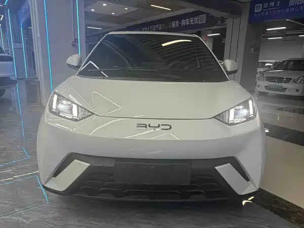 BYD Seagull 2024