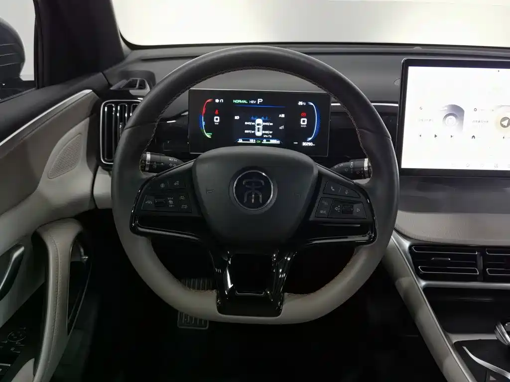 BYD Song Pro New Energy 2024 — фото 11