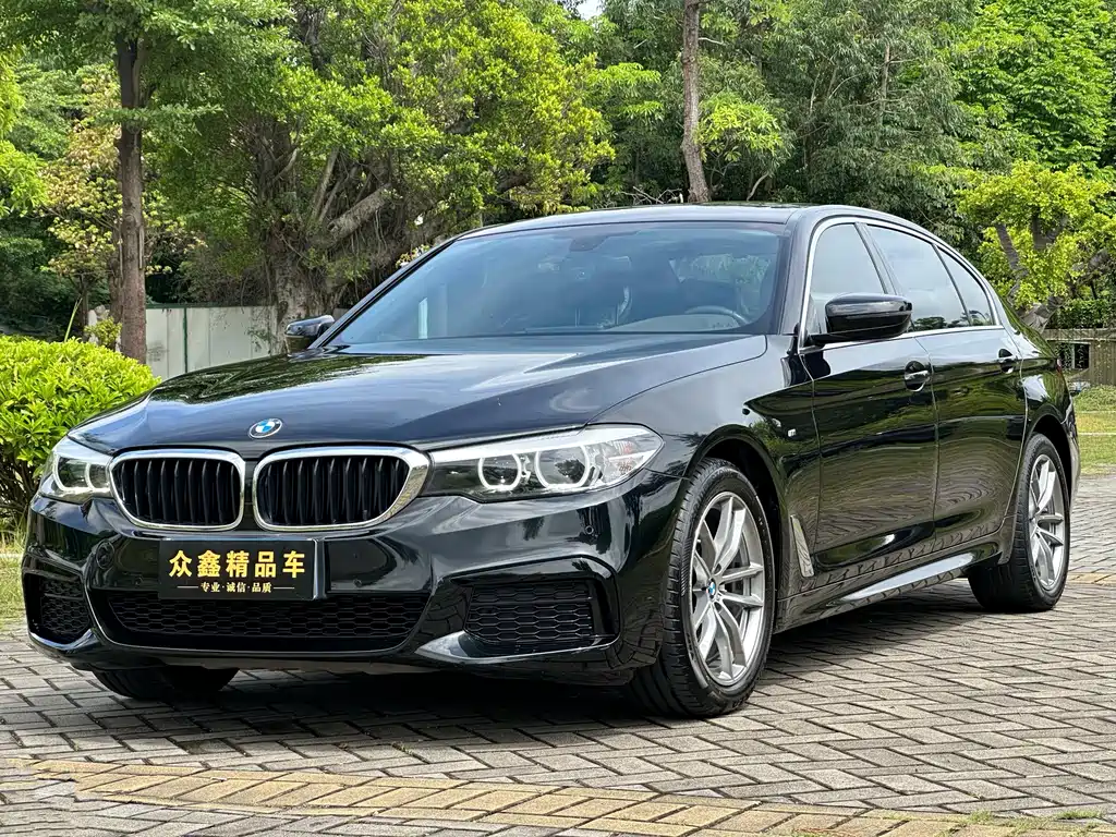 BMW 5 Series 2020